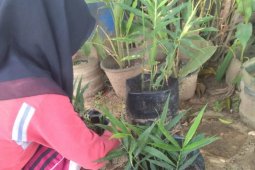 Mahasiswa Polbangtan Medan ajak masyarakat hiasi pekarangan dengan berbagai tanaman