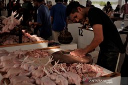 Dampak COVID-19, harga ayam potong melonjak di Banda Aceh