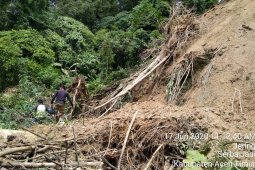 Longsor, akses jalan Aceh Timur - Gayo Lues lumpuh