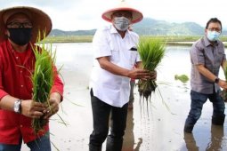 Enam kecamatan di Minahasa masih terbebas dari sebaran COVID-19