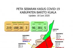 Pasien positif terpapar COVID-19 warga Batola berjumlah 222 orang