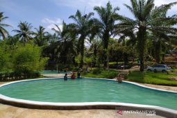Warga ini mengubah kebun sawitnya menjadi objek wisata