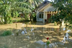 Banjir landa Aceh Timur, sebanyak 220 unit rumah warga terendam