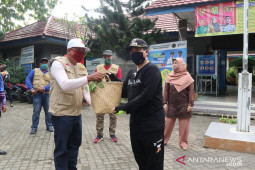 Vegetables and herbs for self-quarantine residents in Banjarmasin