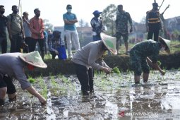 Pembentukan "Kampung Tangguh" di Sukabumi untuk jaga ketahanan pangan