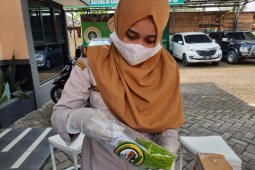 Karantina Pertanian  Surabaya promosikan beras "konjac" ke Korea