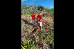 PDI Perjuangan Sekadau kembali tanam pohon