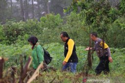 Misteri makhluk penghisap darah di Taput, BBKSDA : Bukan binatang malam