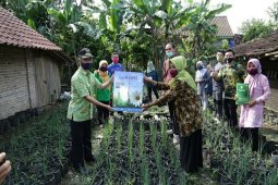 Kelompok  Wanita Tani Pringsewu budidayakan bawang merah di polibag