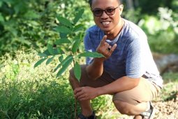 Porgasi Sulut Tanam Seribu Pohon Mahoni di Puncak Alason