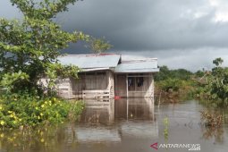 4.825 korban banjir di Kabupaten Sambas dapat bantuan beras dari pemprov