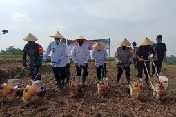 Pairin targetkan panen jagung di Metro capai 6 ton per hektare