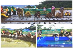 Di tengah pandemi COVID-19, Kejari Tapsel budidaya bawang merah dan ikan