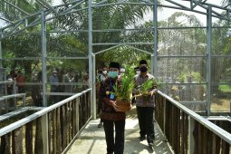 Gubernur resmikan penangkaran anggrek yang diselamatkan dari hutan saat karhutla