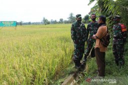 Kodim 1002/Barabai dukung ketahanan pangan di HST