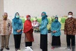 Ketua TP PKK Babel serahkan bantuan sembako hasil produksi lokal