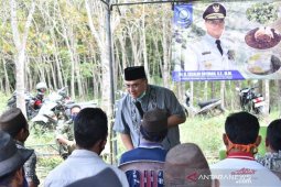 Gubernur ingin kembalikan masa kejayaan lada Babel