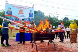 28,6 kg ganja dimusnahkan  Polisi Nagan Raya Aceh