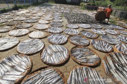 Permintaan kerupuk kulit ikan meningkat