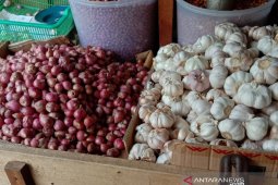 Harga bawang di pasar tradisional Ambon turun