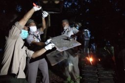 Ratusan burung kacer hasil penahanan karantina dilepasliarkan