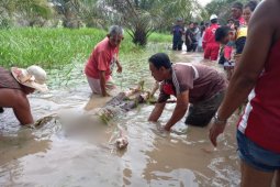 Warga Babalan Langkat temukan mayat seorang wanita