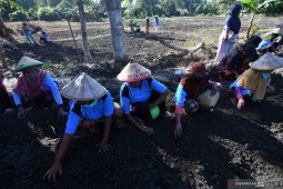 Padat Karya Tunai Desa akan serap 7,05 juta tenaga kerja