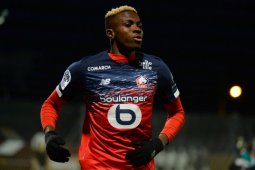 Napoli yakin dua pemain Lille bakal jadi  miliknya