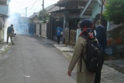 Dinkes Ambon intensifkan pengasapan antisipasi penyebaran DBD