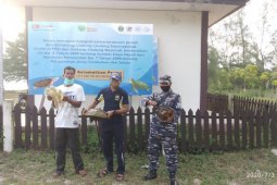 Dua "fosil hidup" di Sumatera Utara dilepas liarkan