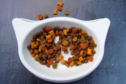 Pencurian data pribadi dari smart pet feeder terungkap
