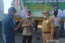 Menteri Koperasi UKM lepas ekspor 45 ton lada Babel ke Jepang