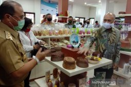 Menteri Koperasi dan UKM kunjungi PLUT UMKM Babel