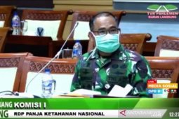 TNI tingkatkan pengawasan pelintas batas
