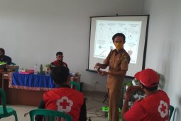 Pemkot Sukabumi ajak masyarakat manfaatkan pekarangan rumah untuk berkebun
