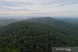PT SAM mangkir hadir fasilitasi mediasi ganti rugi lahan oleh Pemkab HSS