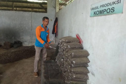 Permintaan pupuk kompos di Kabupaten Lebak meningkat