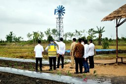 Presiden : Model lumbung pangan Kalteng bisa jadi contoh provinsi lain
