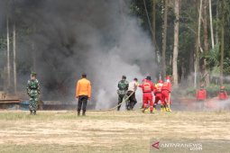 Perusahaan di Jambi siapkan sistem "Integrated Fire Management" cegah karhutla
