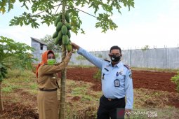 Bunda Nunung sumringah diajak panen di kebun Lapas Pelaihari