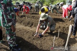 Bupati Malra pimpin tanam bibit di kebun manunggal Ohoi Debut