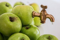 Sehatkah bila hanya minum jus sayur  dan buah seharian?
