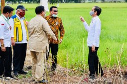 Menhan pimpin lumbung pangan Kalteng, ini penjelasan Presiden