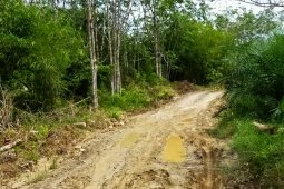 Berkat TMMD jalan Desa Dantisudah semenki baik