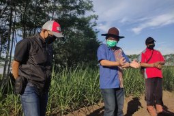 PTPN XI fasilitasi petani tebu dapat permodalan PKBL