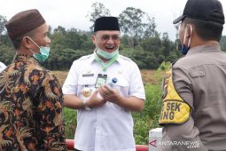 Pemprov Babel garap 300 hektare sawah sistem korporasi
