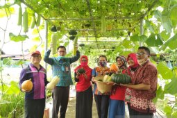 Kalbar gaungkan cinta produk pangan lokal