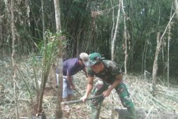 Satgas TMMD Ini bantu warga tanam kelapa sawit.