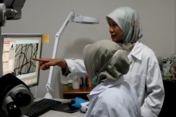 DPD RI berharap Balitbangtan lanjutkan riset eucalyptus