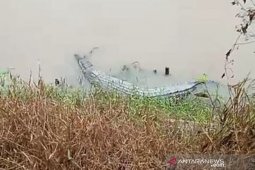 BPBD Babel tangkap buaya resahkan masyarakat